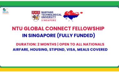 NTU global connect fellowships