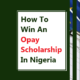 How To Win An Opay Scholarship In Nigeria