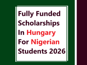Fully Funded Scholarships In Hungary For Nigerian Students 2026