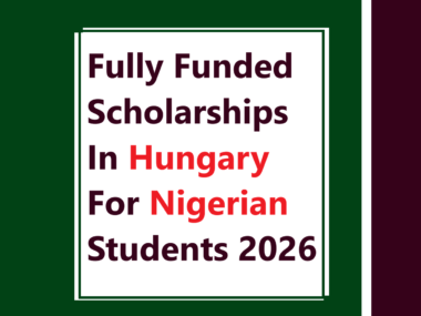 Fully Funded Scholarships In Hungary For Nigerian Students 2026