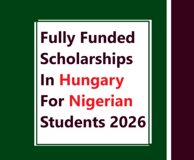 Fully Funded Scholarships In Hungary For Nigerian Students 2026